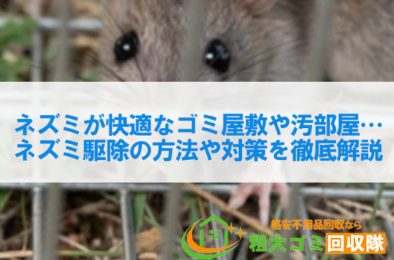 ネズミが快適なゴミ屋敷や汚部屋…ネズミ駆除の方法や対策を徹底解説