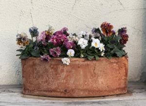 テラコッタ鉢・化粧鉢・ガラス素材の植木鉢