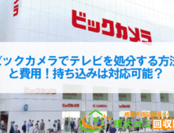 ビックカメラでテレビを処分する方法と費用！持ち込みは対応可能？