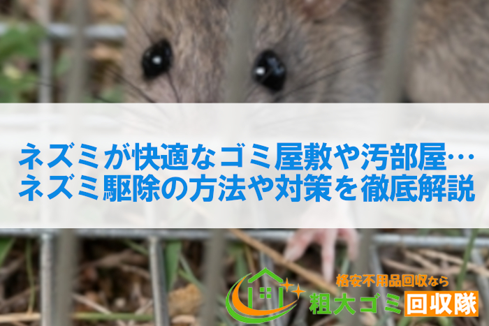 ネズミが快適なゴミ屋敷や汚部屋…ネズミ駆除の方法や対策を徹底解説