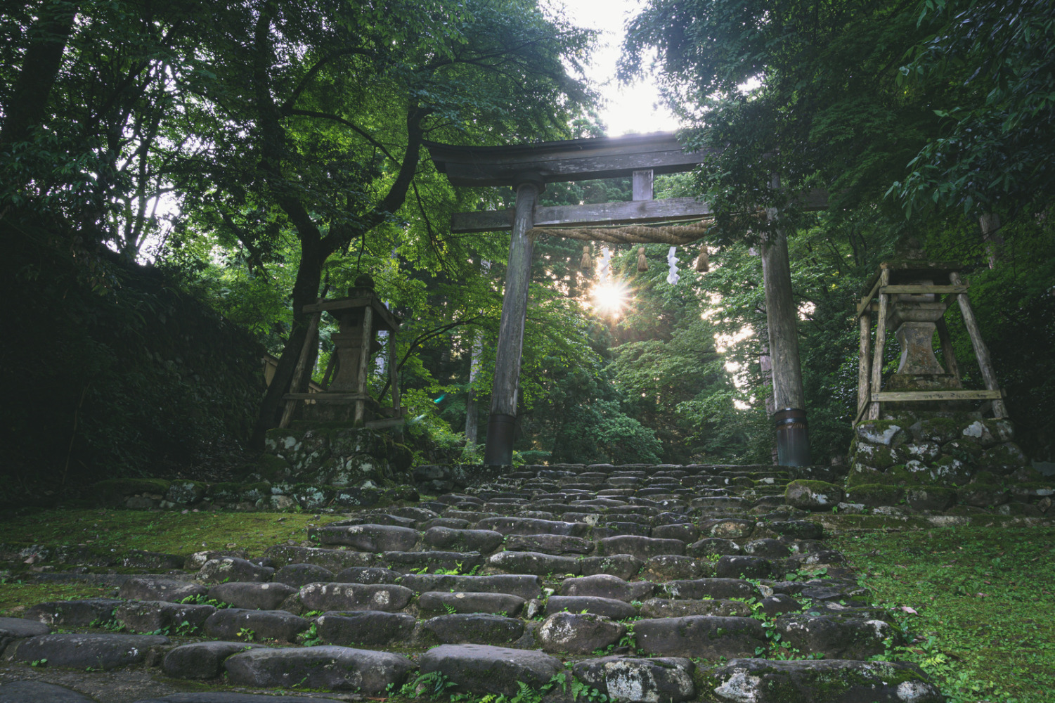 処分ではなく神社で供養するという方法も