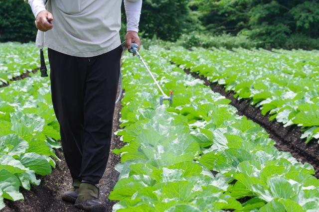 農薬の処分方法と処分費用！自治体のゴミには出せない