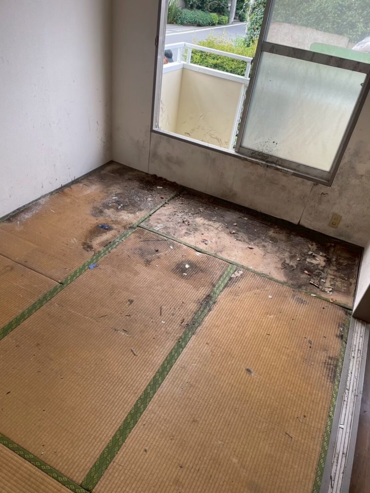 ゴミ屋敷清掃後の様子①